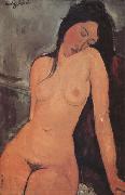 Amedeo Modigliani Nude (nn03) china oil painting reproduction